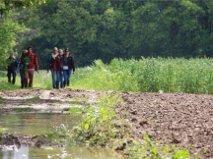 Вилла De Bosbeekpoort Opglabbeek Номер фото
